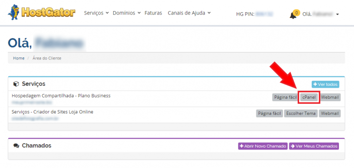 Serviços contratados na área do cliente