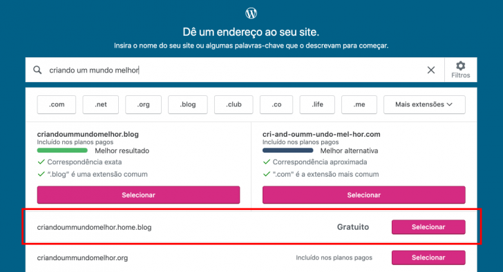 Sugestões de domínio são apresentadas na tela, baseadas no nome que você informou no formulário.