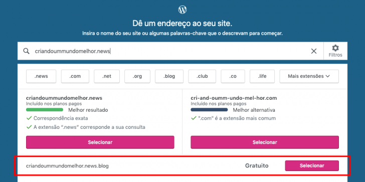 Sugestões de domínio são apresentadas na tela, baseadas no nome que você informou no formulário.