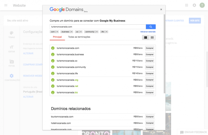 Página de compra de domínio no Google Domains