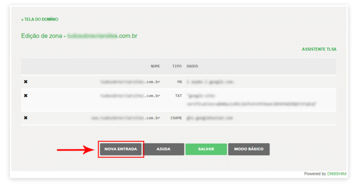 Tela de edição da zona de DNS do domínio no Registro.br