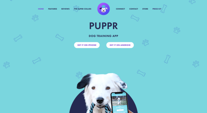 Aplicativo de treinamento de cães Puppr usa o .app em seu site