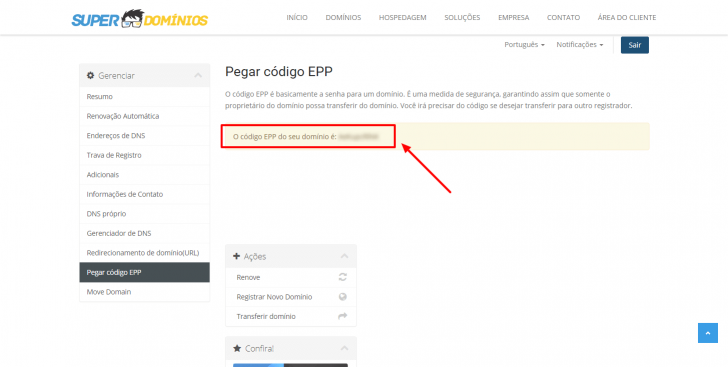 Código EPP visível no painel da Super Domínios